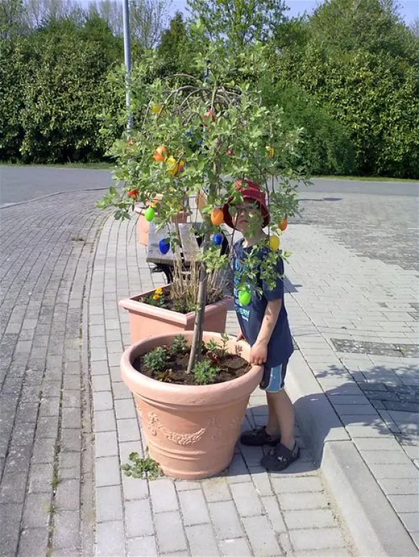 Camping am Leuchtturm