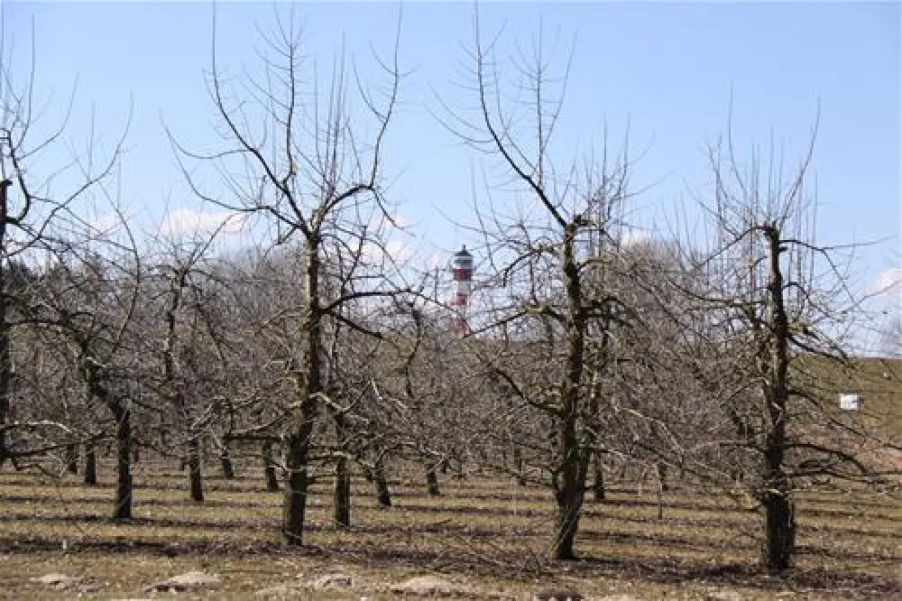 Camping am Leuchtturm