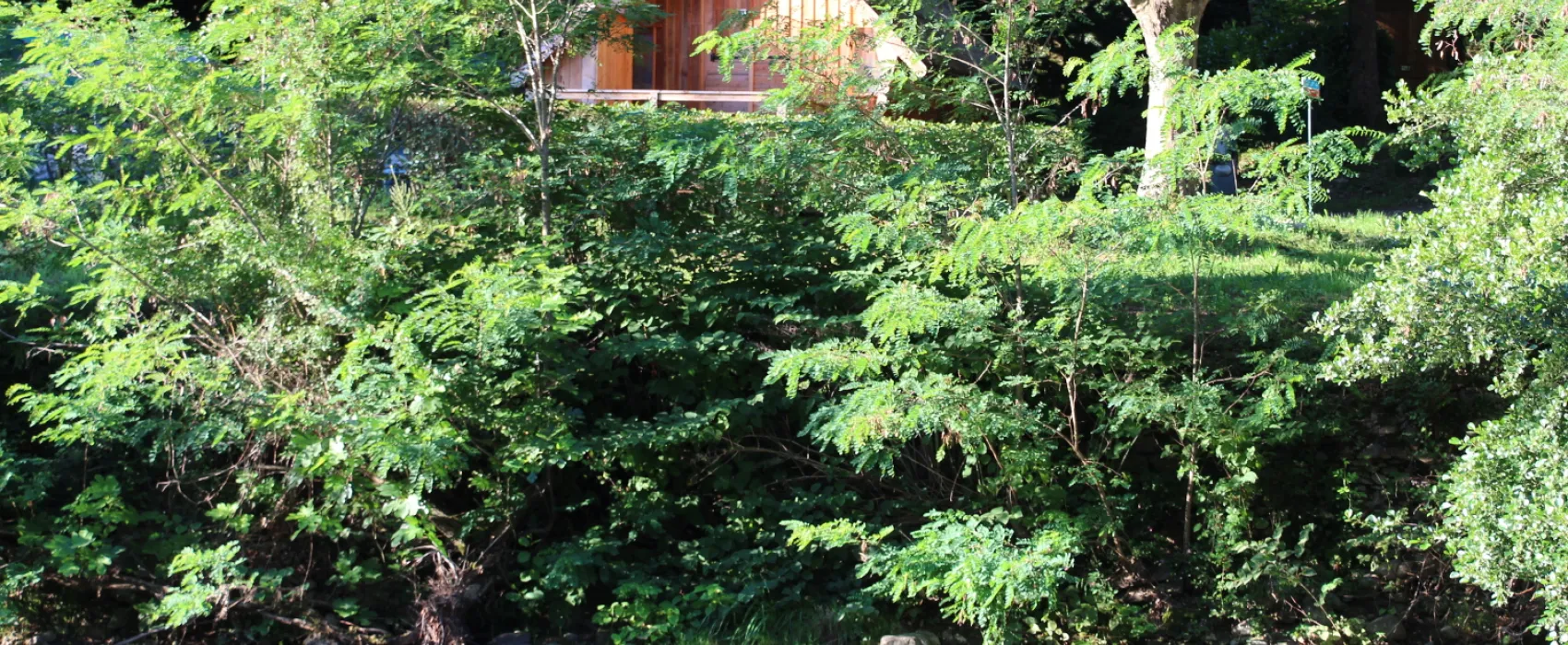 Camping Le Moulin du Luech