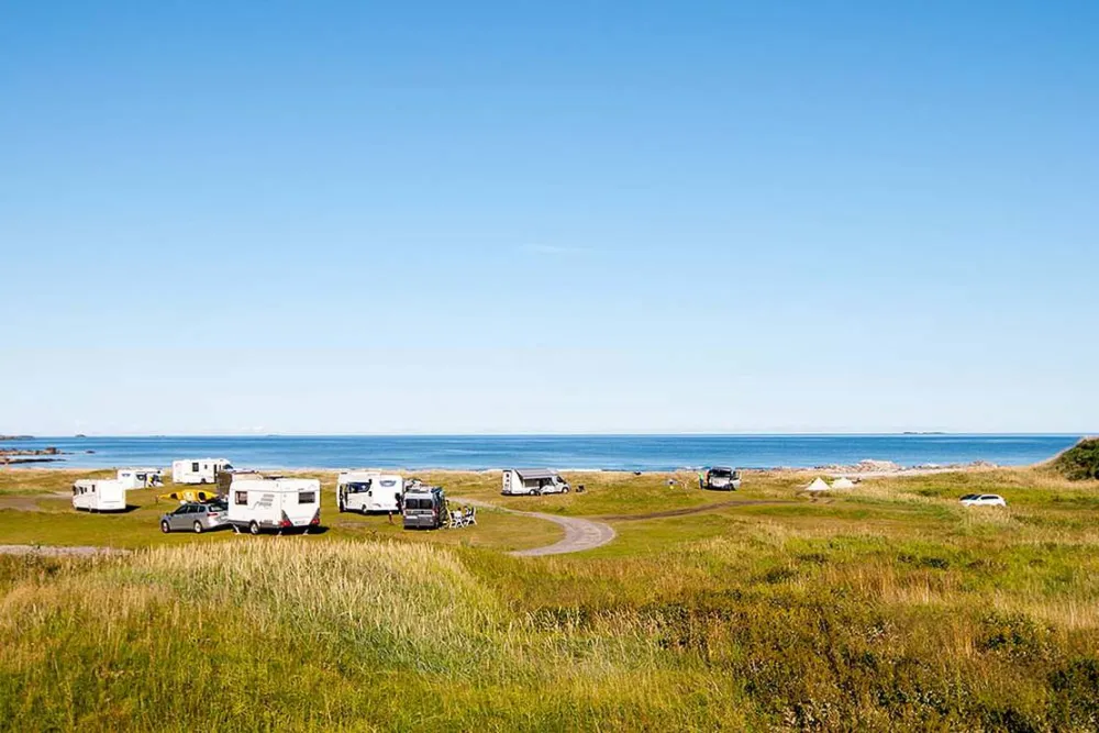 Skagen Camping