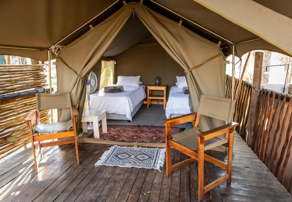 Kingly Explorer Camp