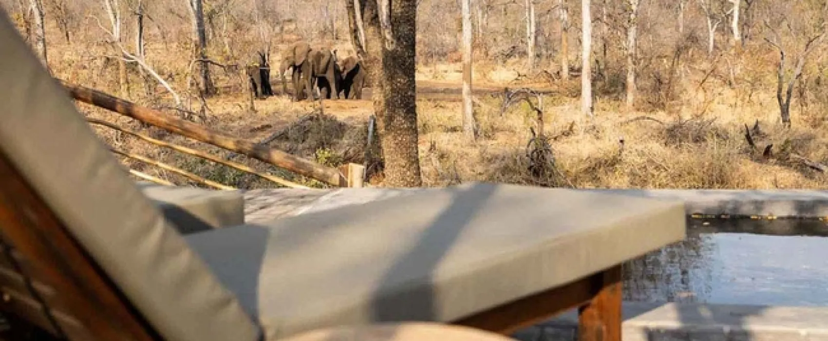 Kingly Explorer Camp