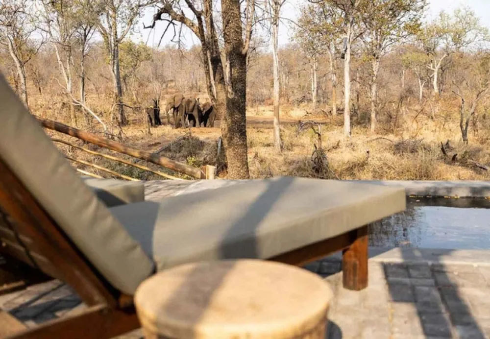 Kingly Explorer Camp