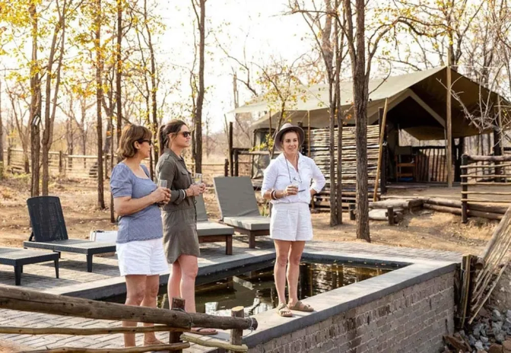 Kingly Explorer Camp