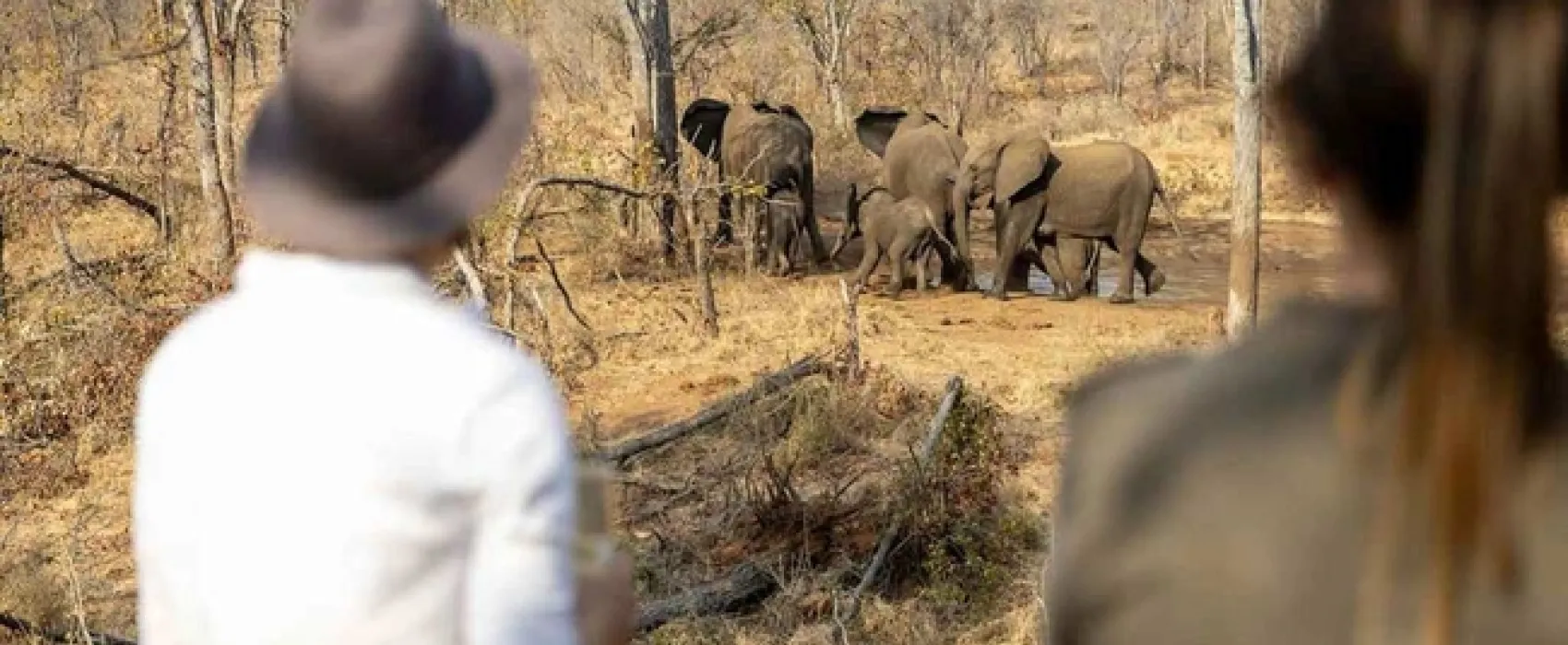 Kingly Explorer Camp