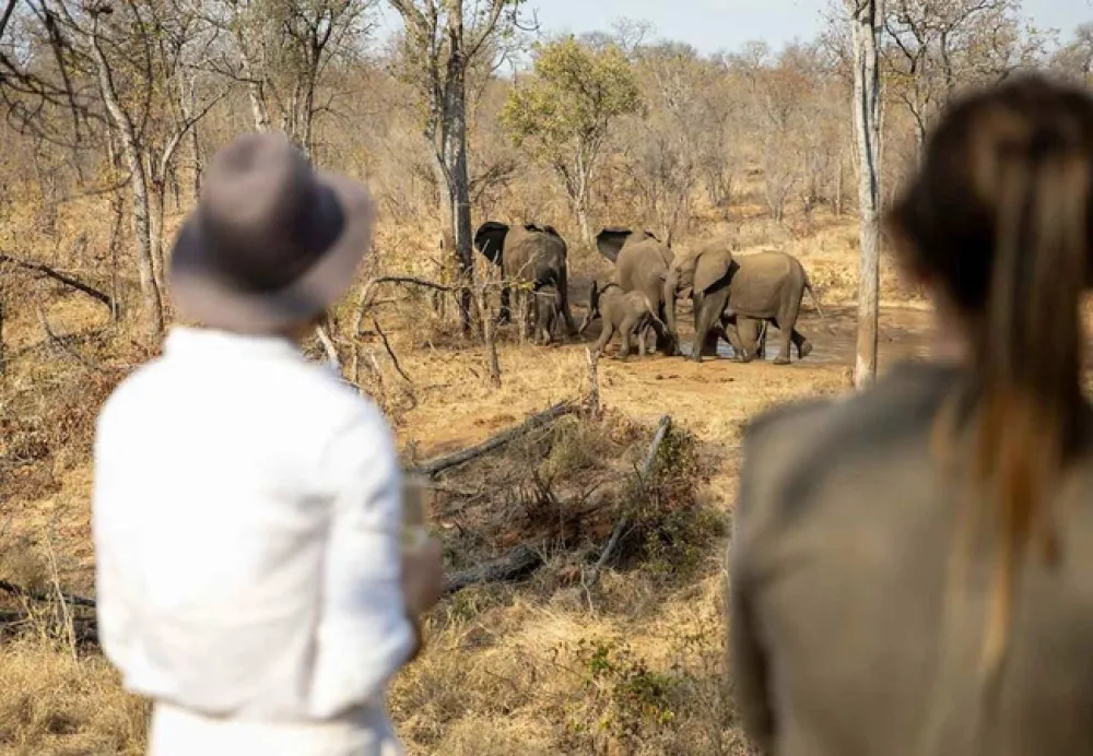 Kingly Explorer Camp