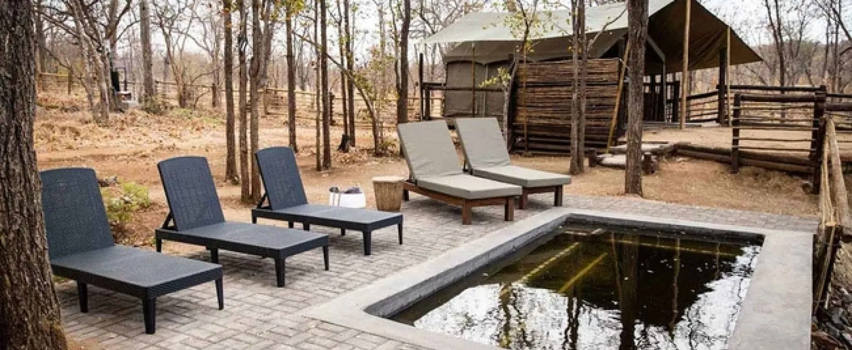 Kingly Explorer Camp