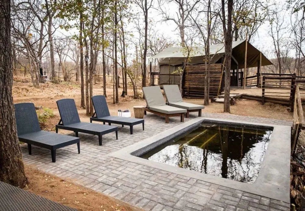 Kingly Explorer Camp