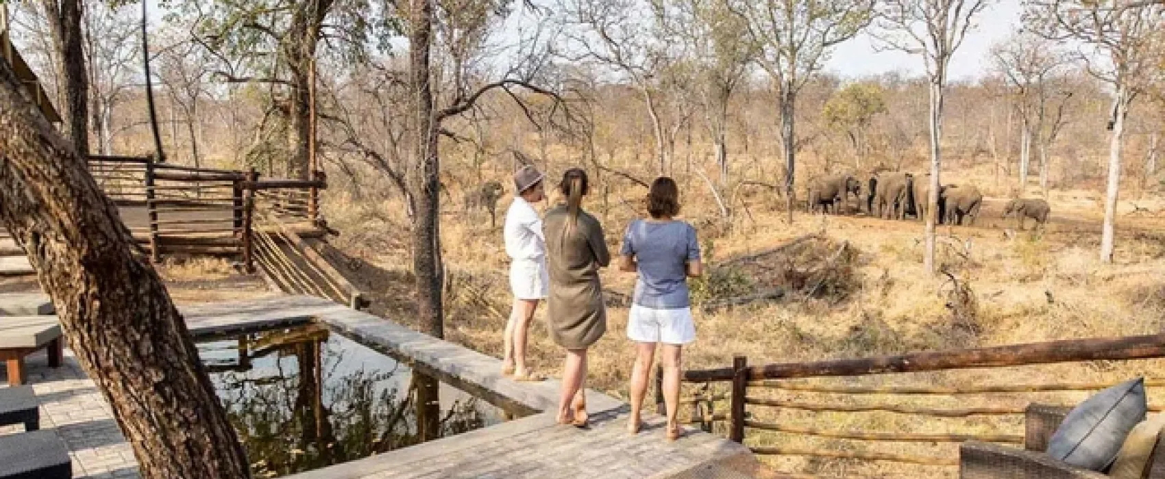 Kingly Explorer Camp