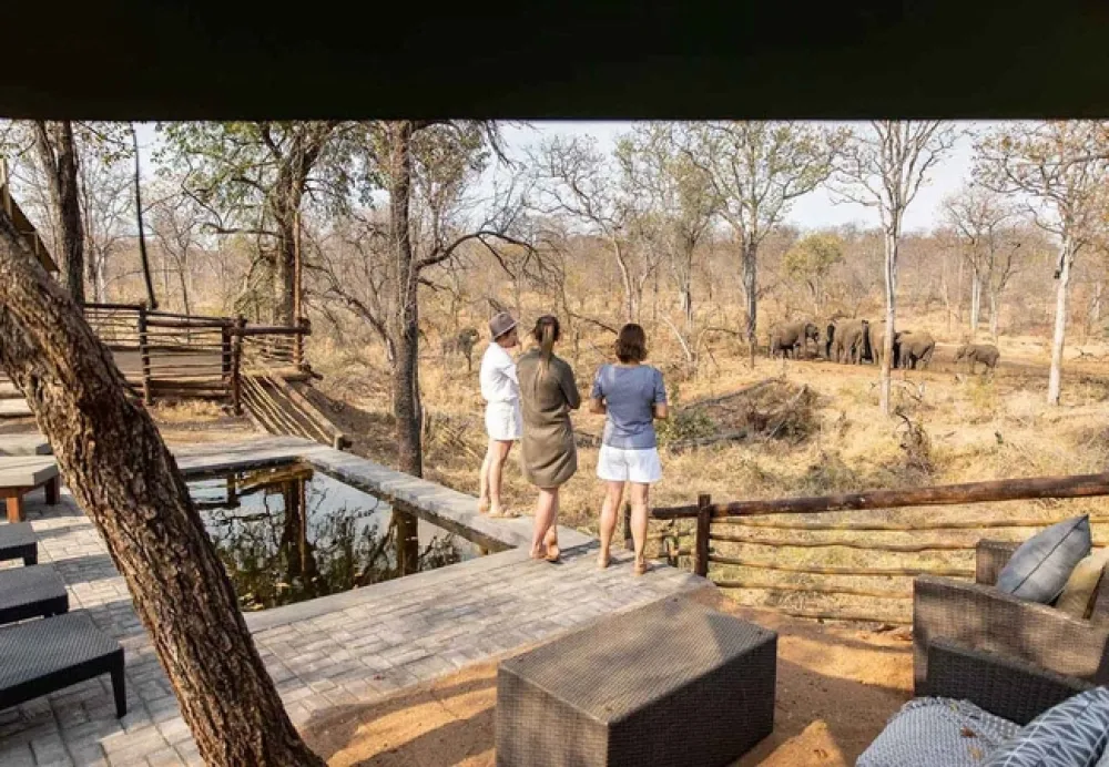 Kingly Explorer Camp