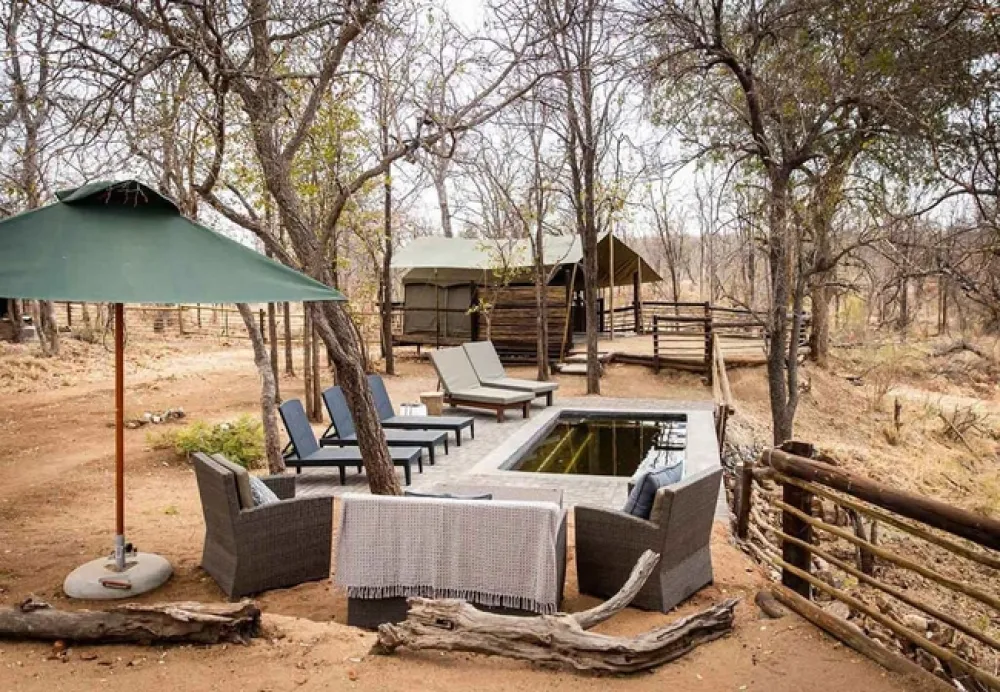 Kingly Explorer Camp