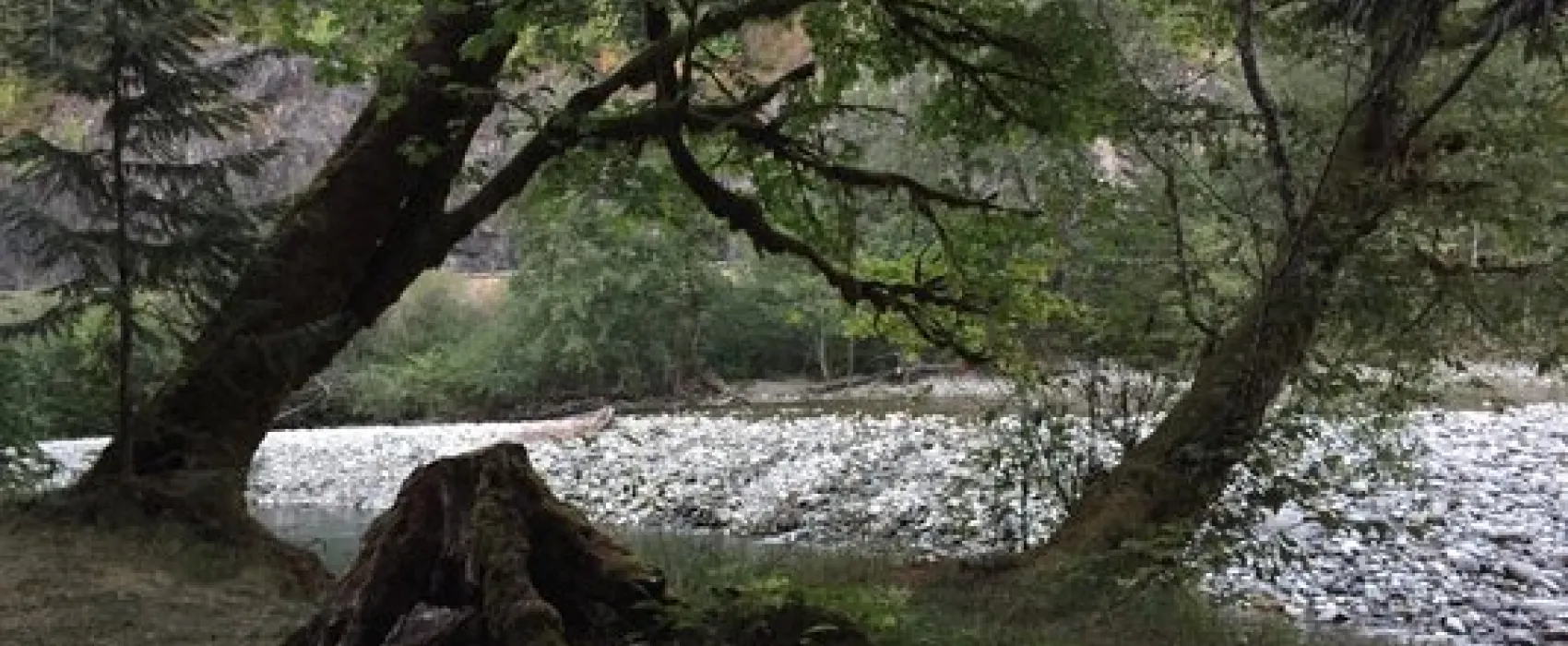 Money Creek Campground