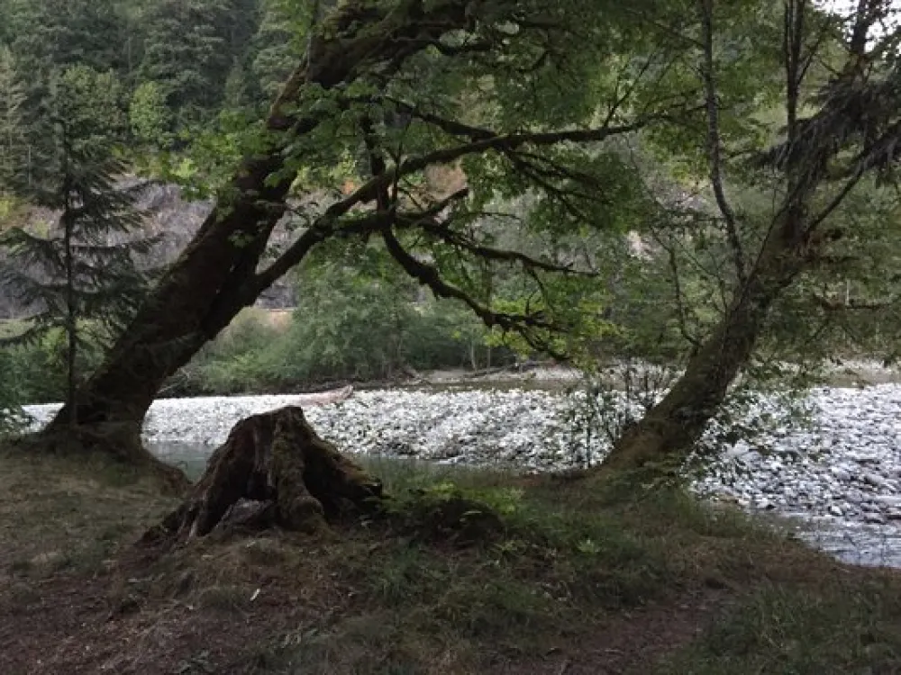 Money Creek Campground