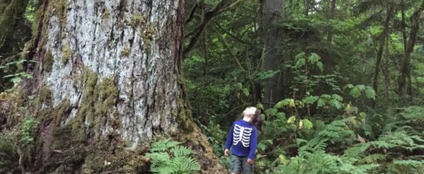 Money Creek Campground