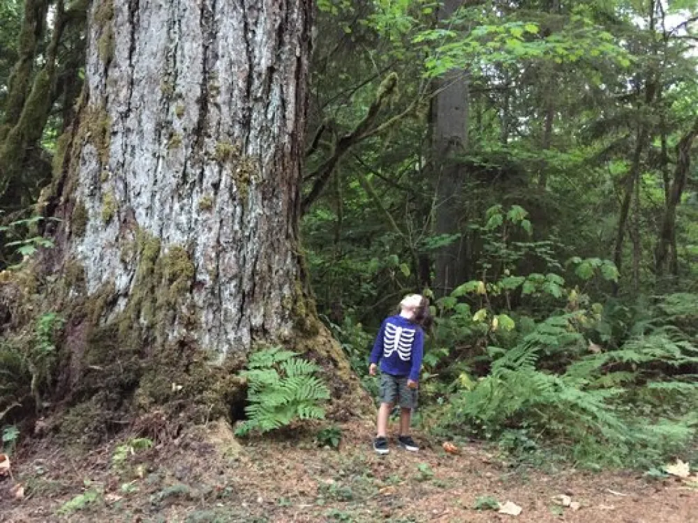 Money Creek Campground