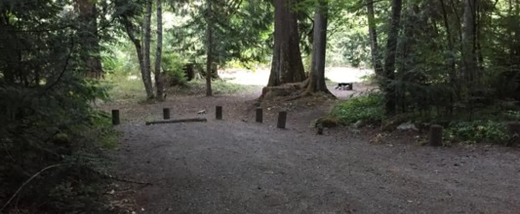 Money Creek Campground