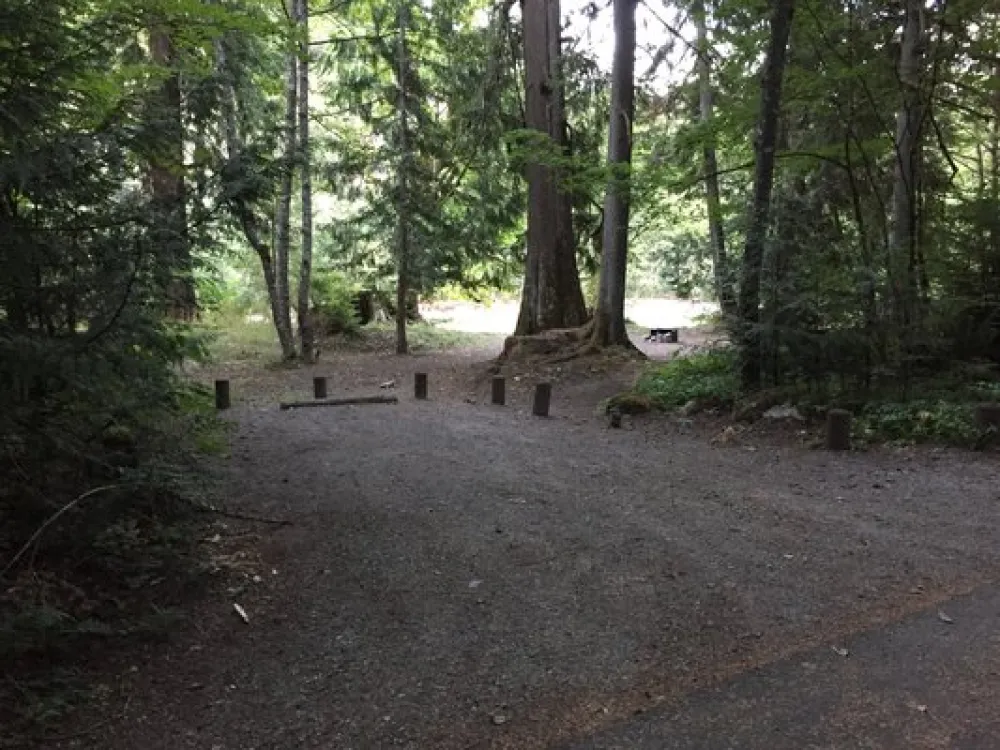 Money Creek Campground