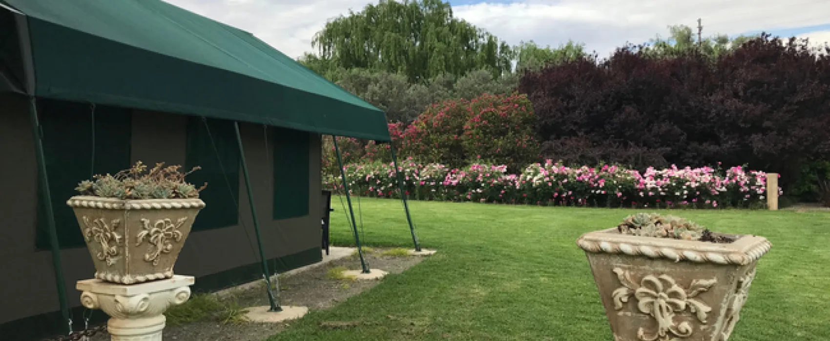 Sanctuary Guest & Adventure Farm