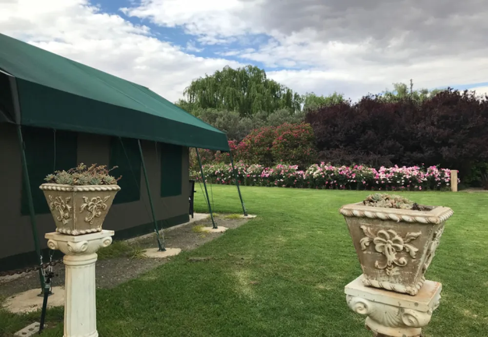 Sanctuary Guest & Adventure Farm