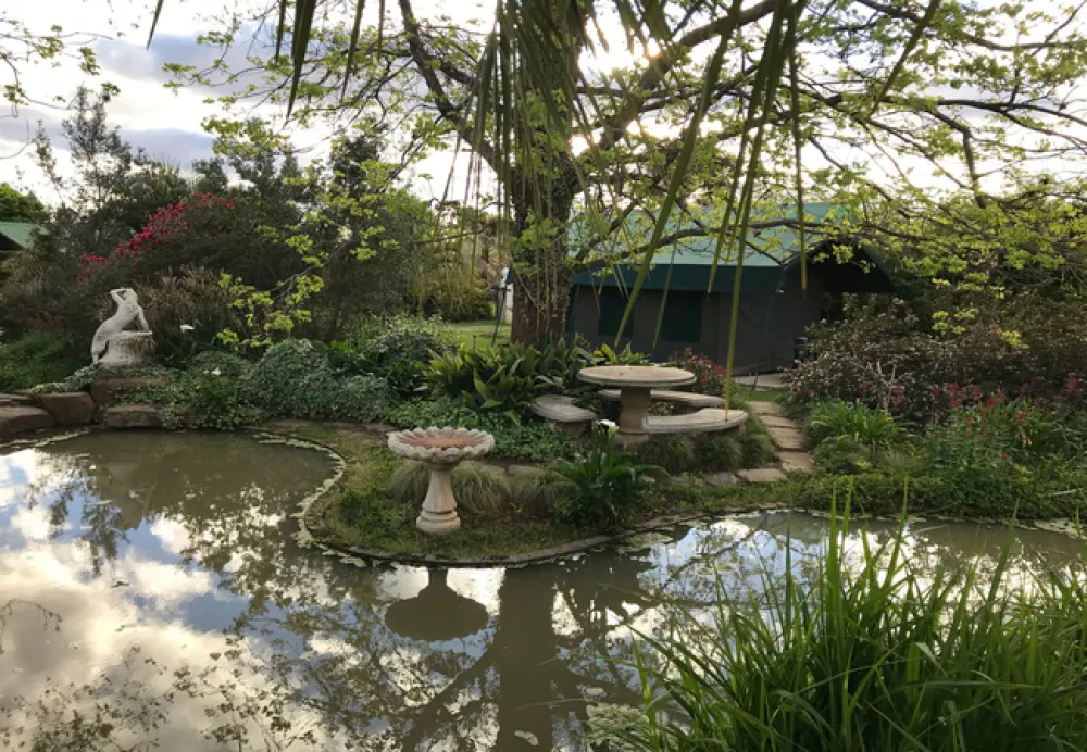 Sanctuary Guest & Adventure Farm