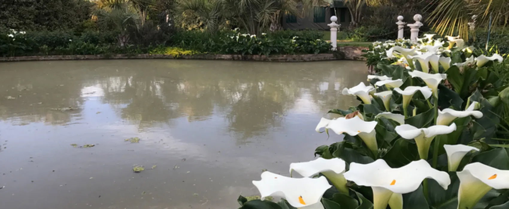 Sanctuary Guest & Adventure Farm