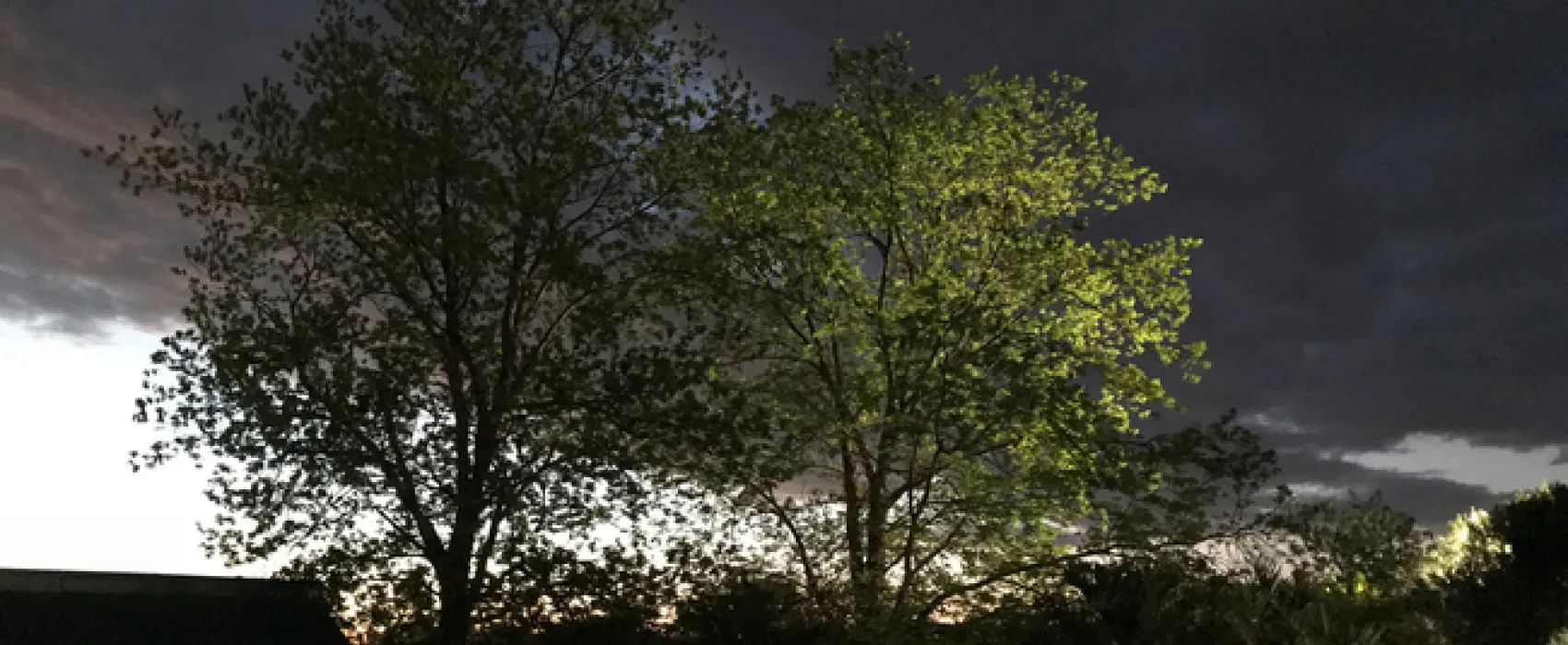 Sanctuary Guest & Adventure Farm