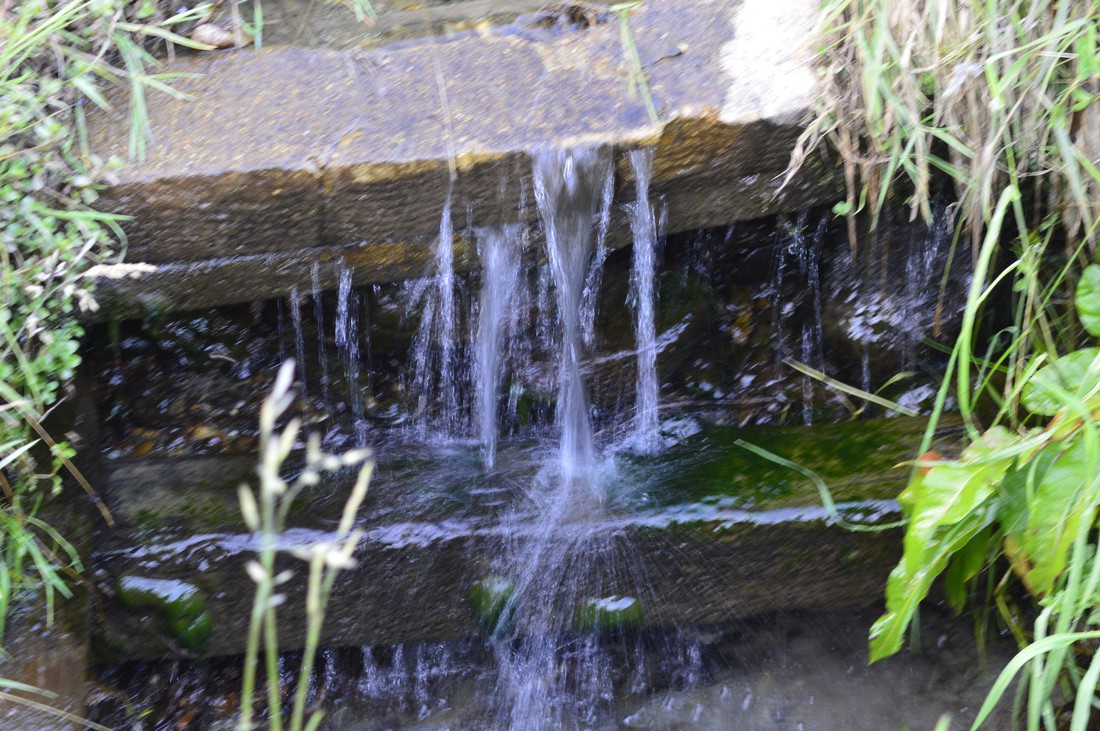 Forellencamp photo 5