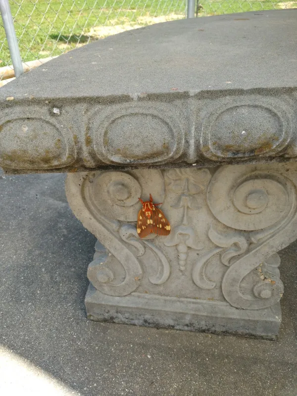 The Family Campground on Current River