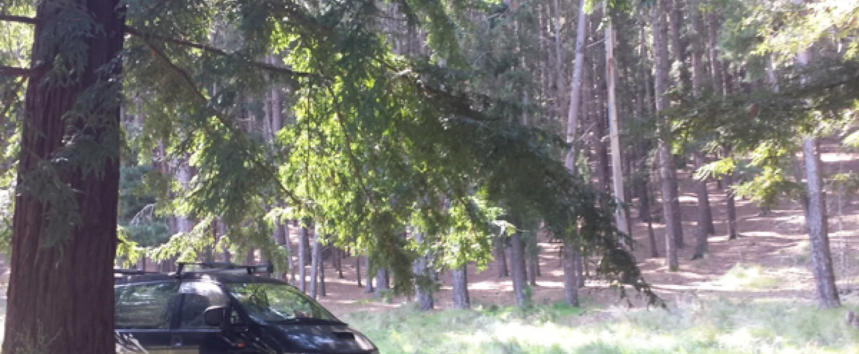 Mount Franklin Campground