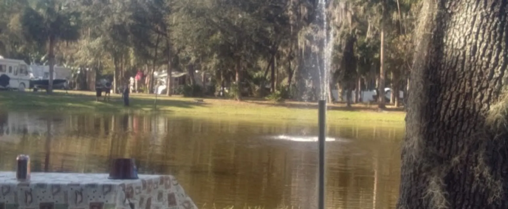 Astor Landing Campground & Marina