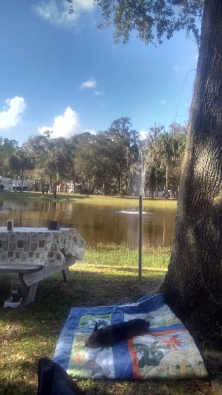 Astor Landing Campground & Marina