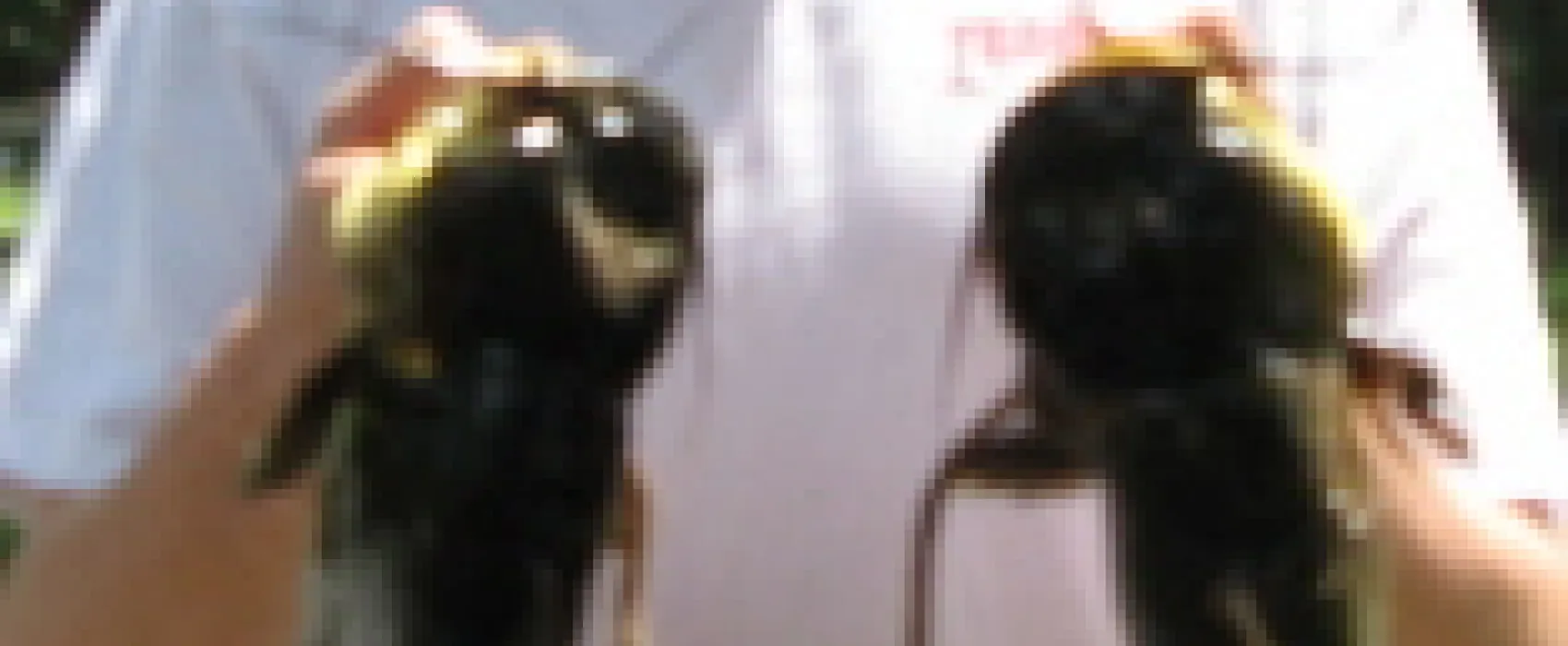 Beagle Bay RV Haven & Campground