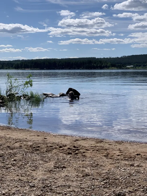 Camp Lakeside Boheden