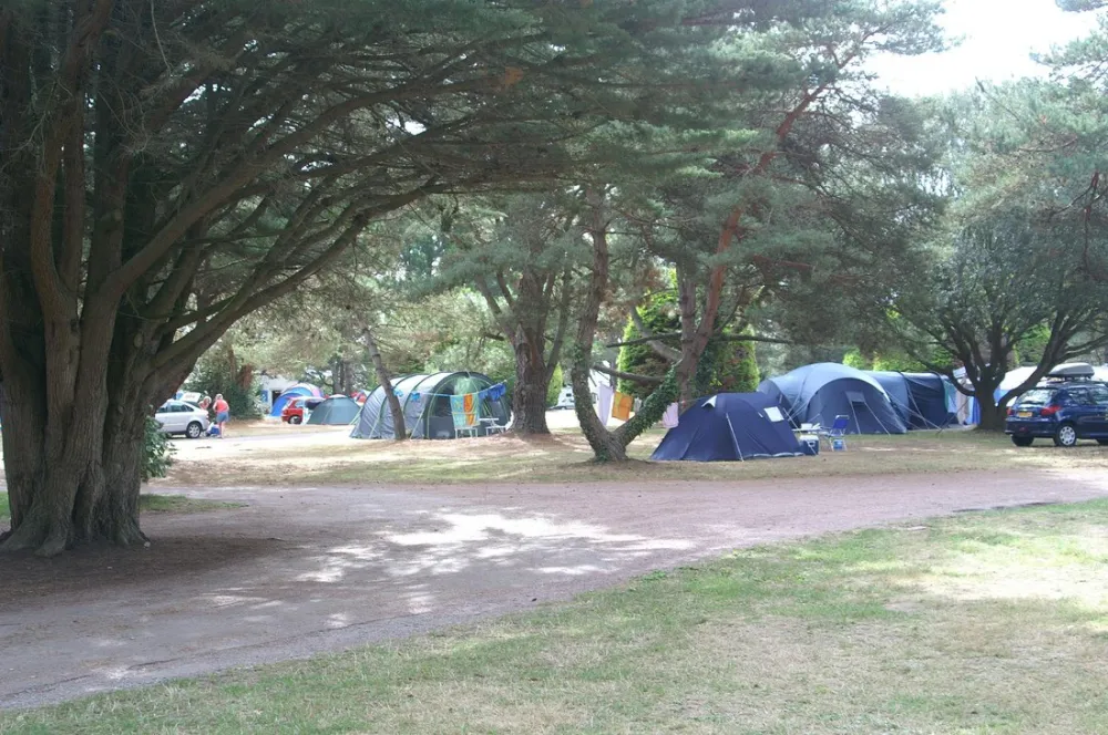 Parc Sainte Brigitte