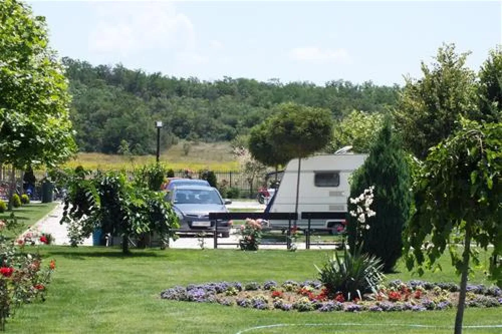 AutoMoto Camp Enigma