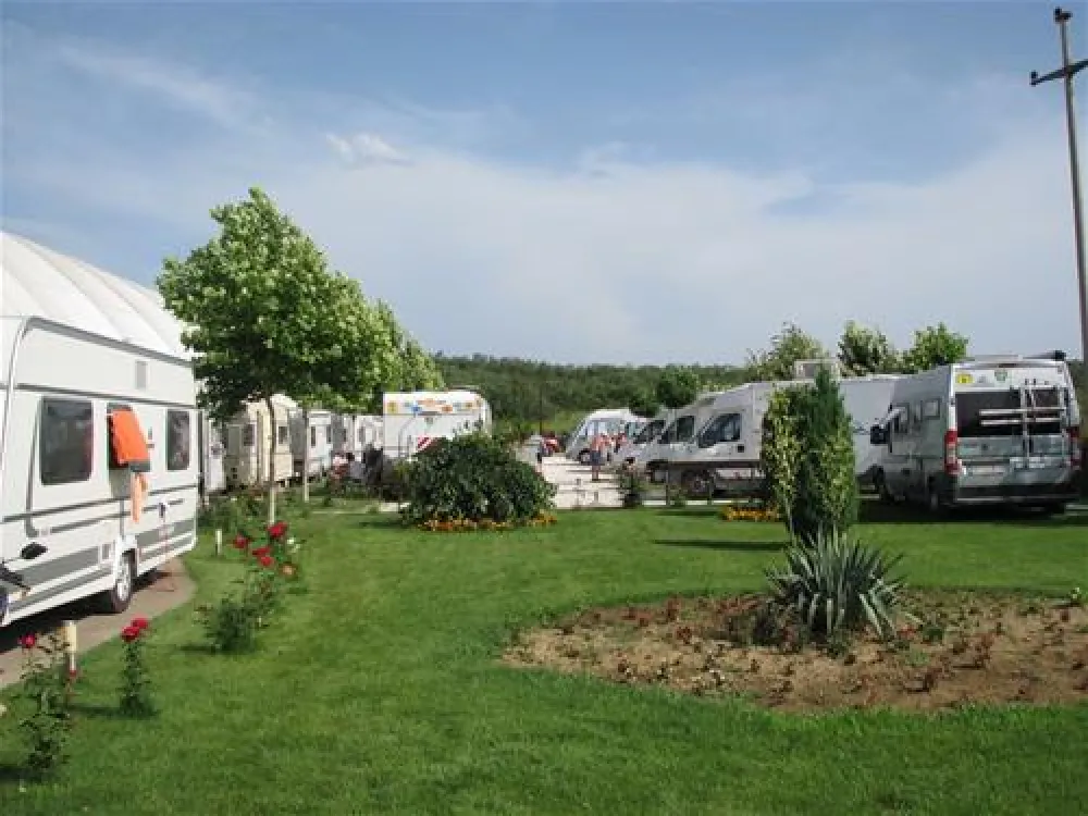 AutoMoto Camp Enigma