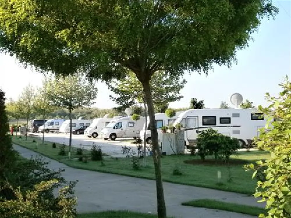 AutoMoto Camp Enigma