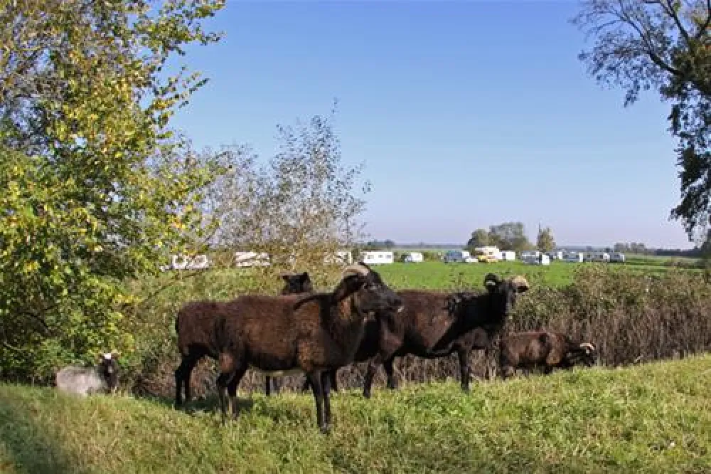 Camping Rittergut Frankenfeld