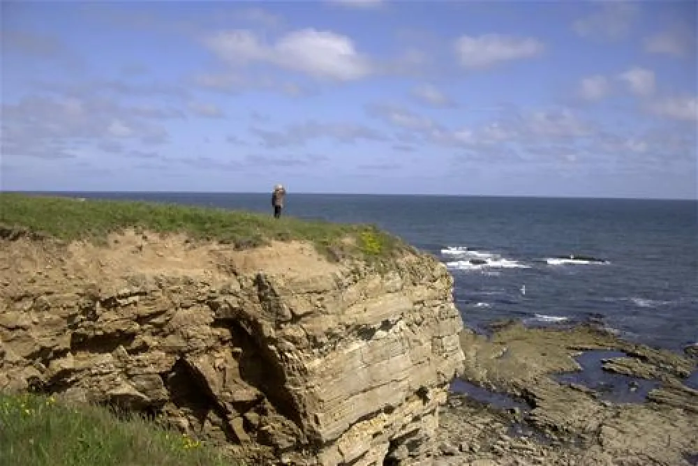 Sandhaven Holiday Park