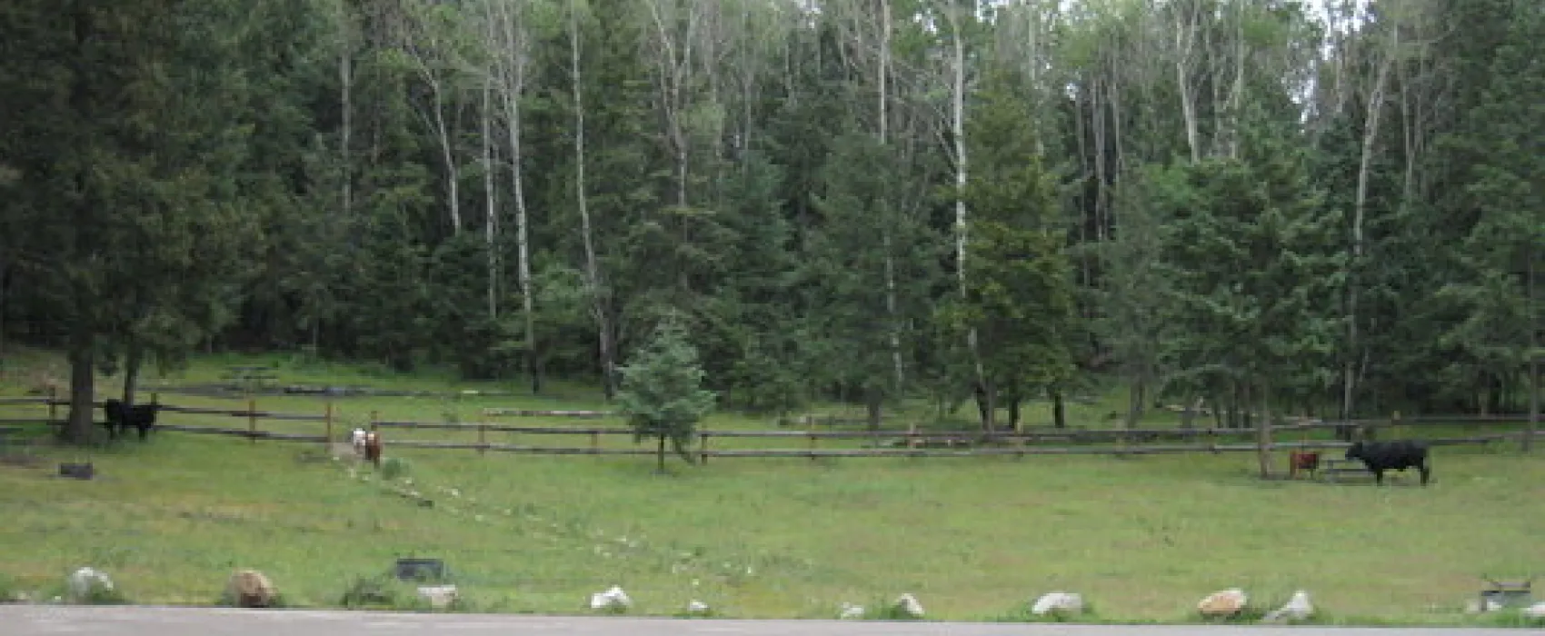 Upper Karr Canyon Campground