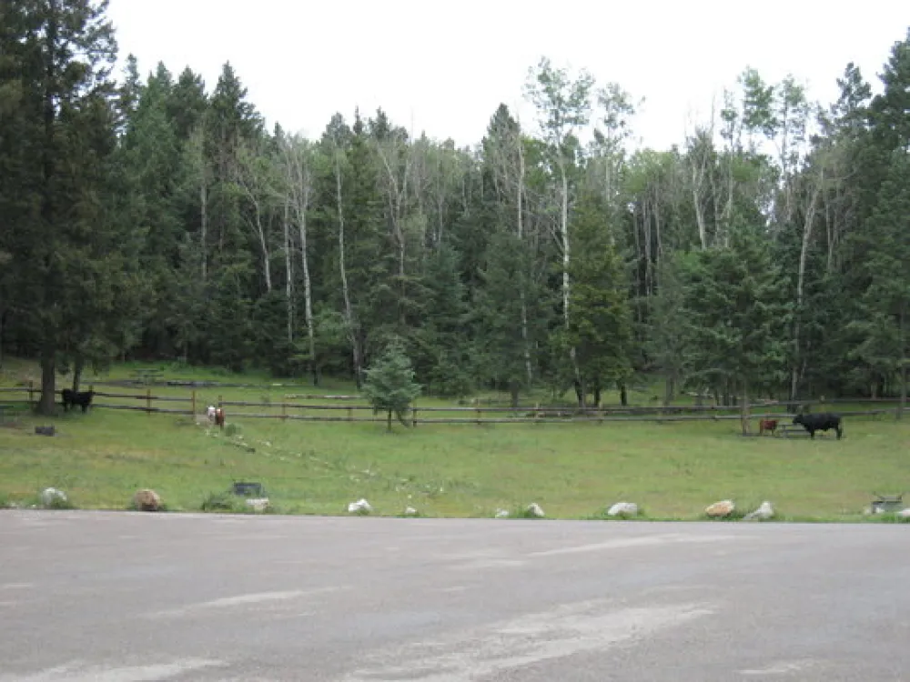 Upper Karr Canyon Campground