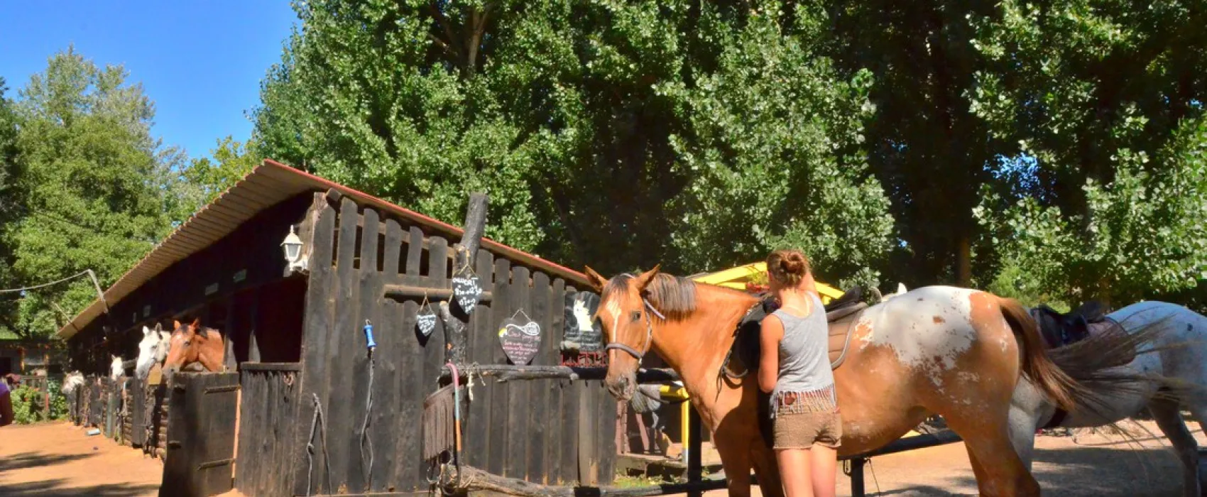 Camping Domaine De La Marina  