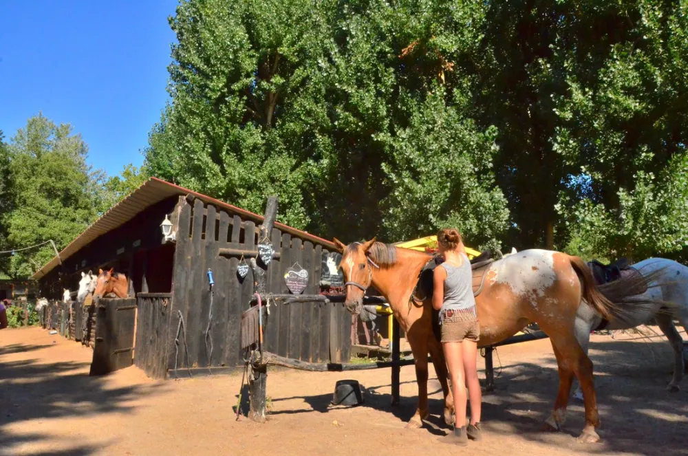 Camping Domaine De La Marina  