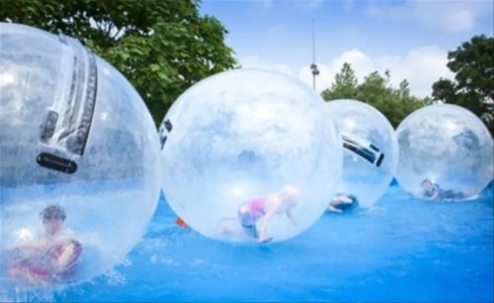 Camping Domaine De La Marina  