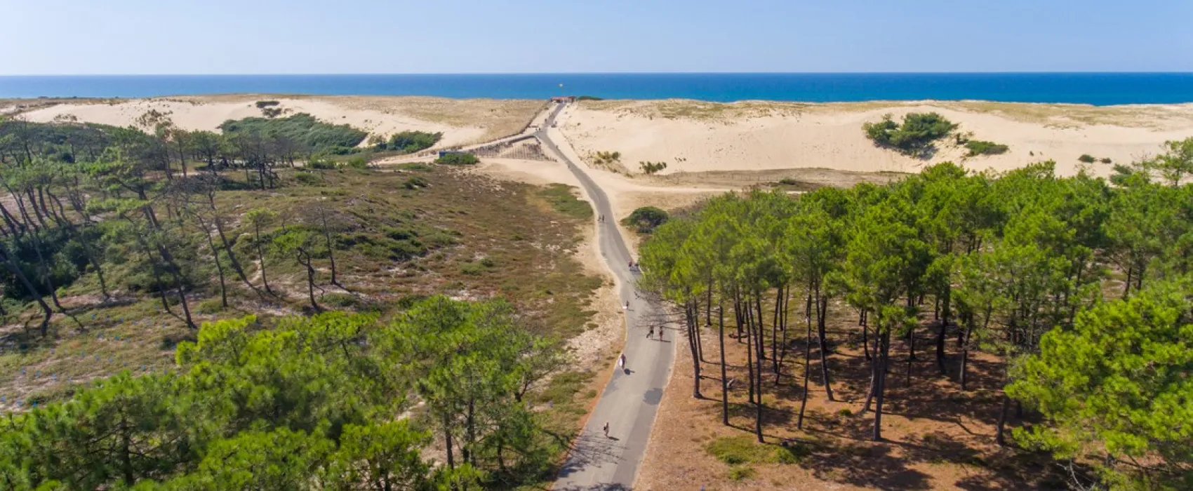 Camping Domaine De La Marina  