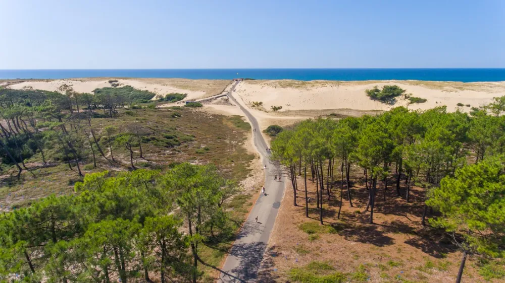 Camping Domaine De La Marina  