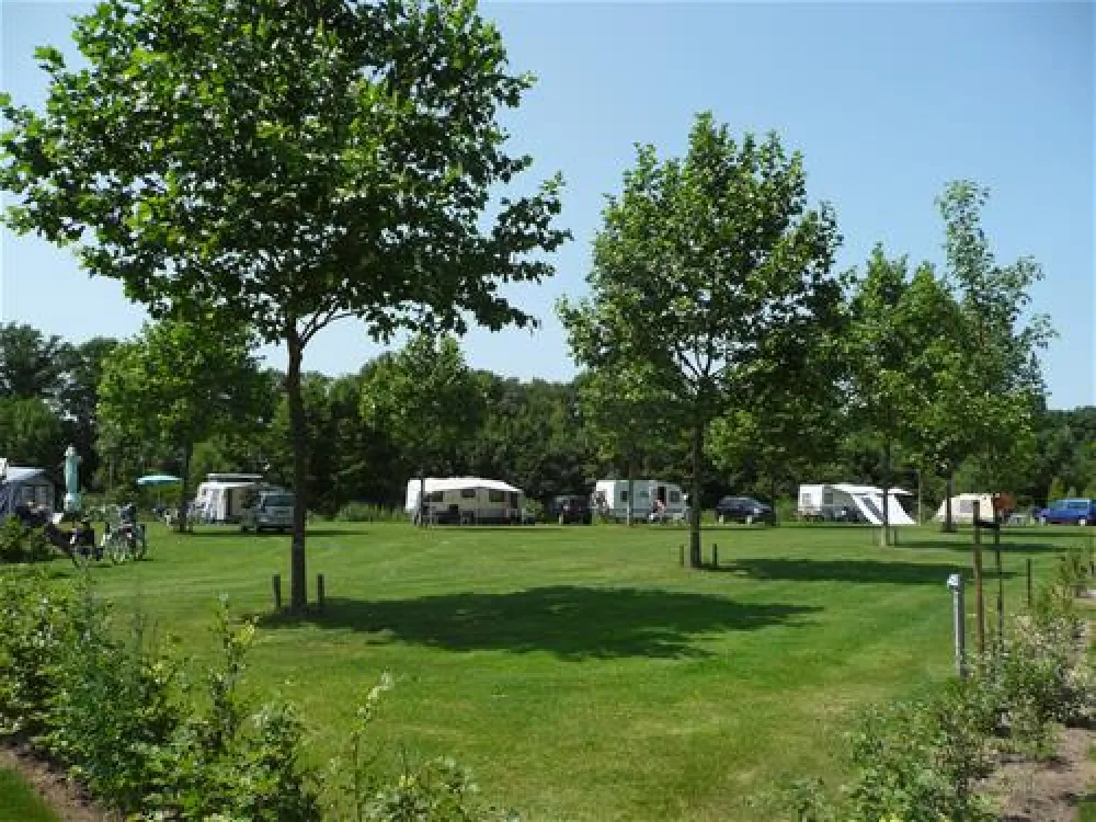 Camping Harfsen de Waterjuffer