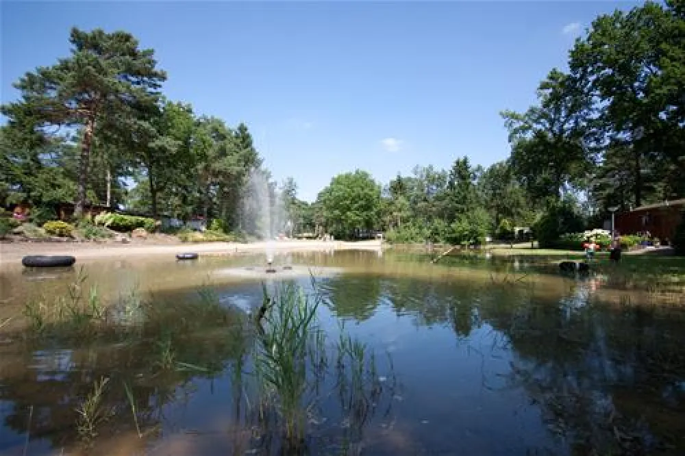 Camping Harfsen de Waterjuffer