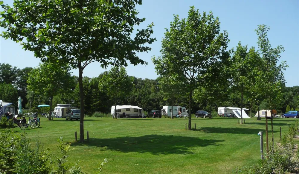 Camping Harfsen de Waterjuffer