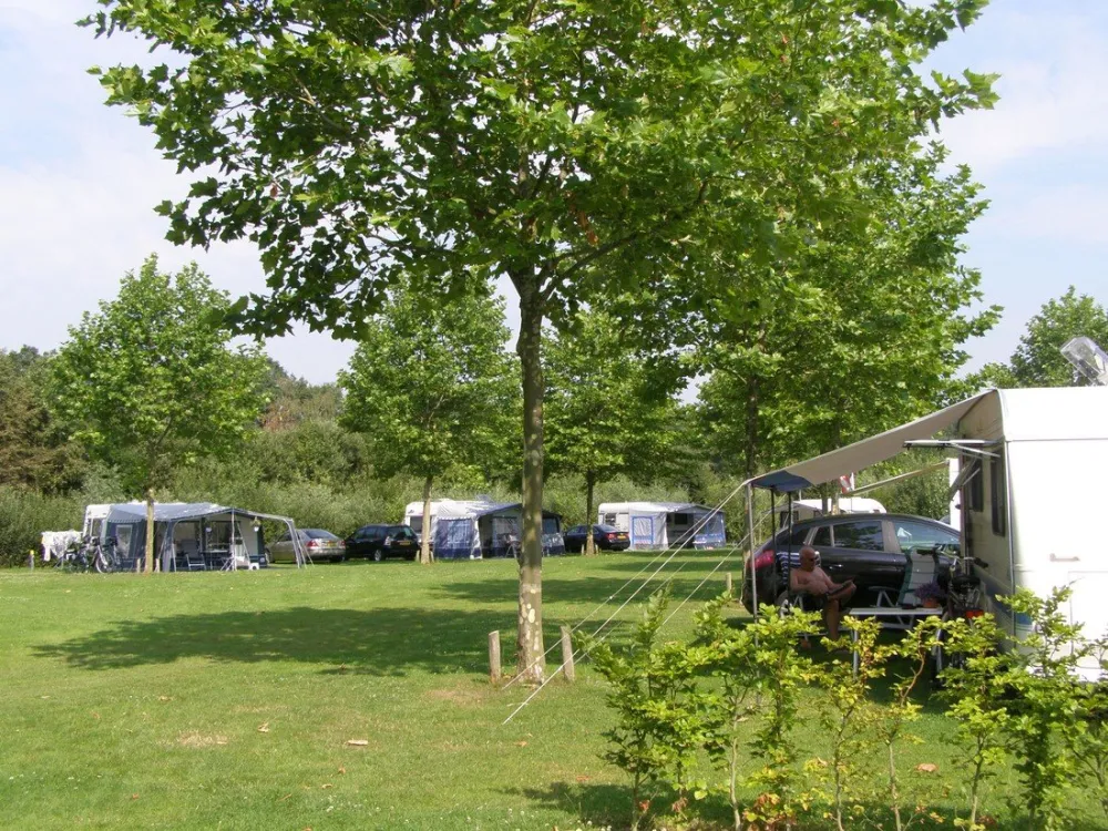Camping Harfsen de Waterjuffer